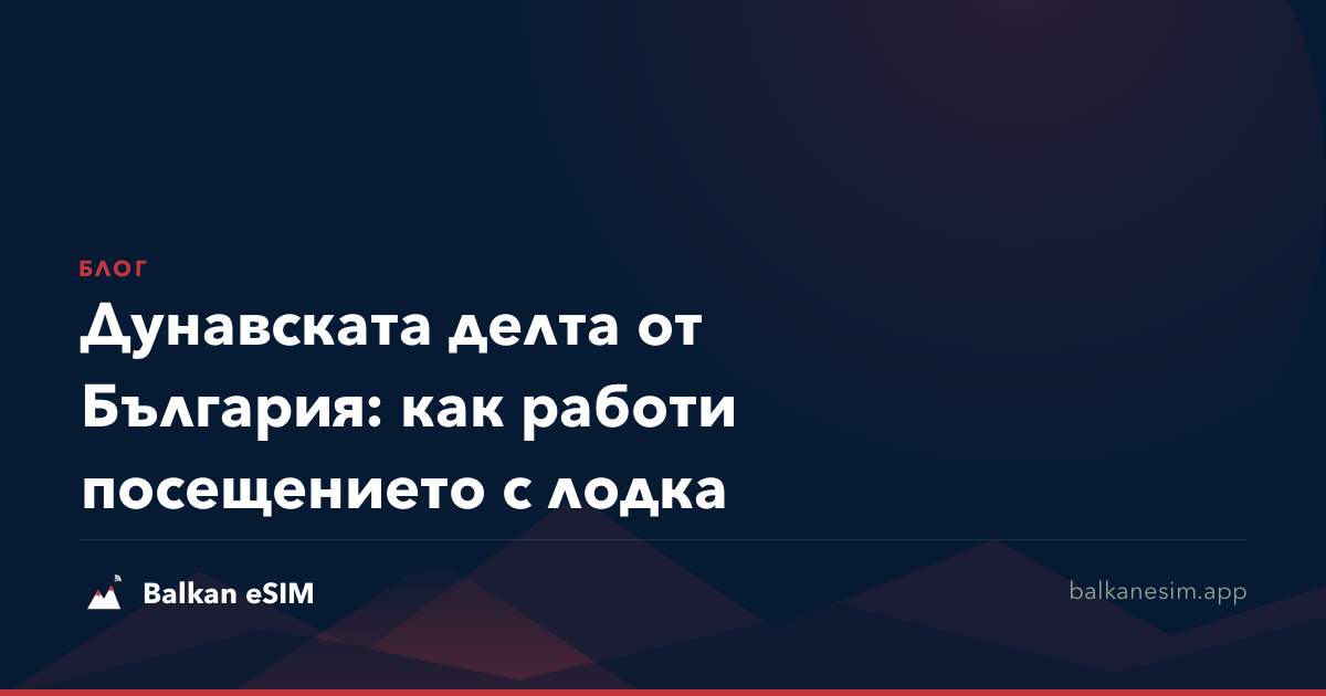 Дунавската делта от България: как работи посещението с лодка